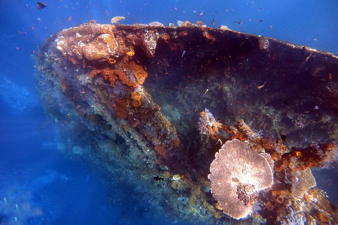 Discover Scuba Diving - Ubud timing and the 5-hour format that works