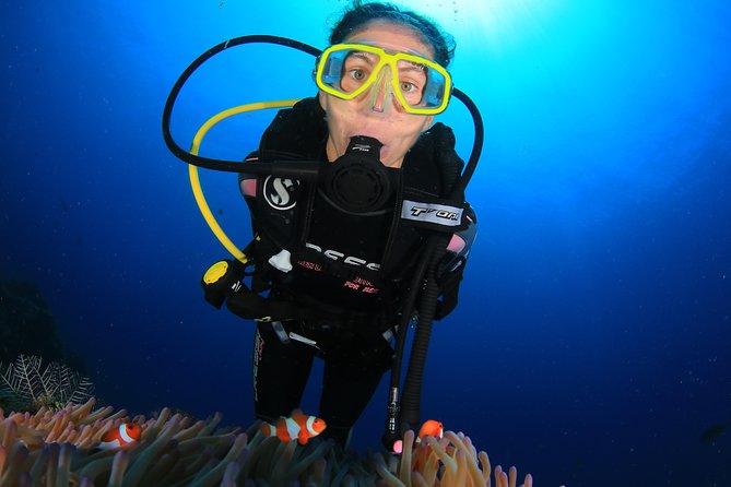 Discover Scuba Diving - What the $120.94 price includes, and why it can be good value