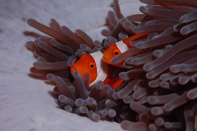 Discover Scuba Diving - What to expect from the whole day, step by step
