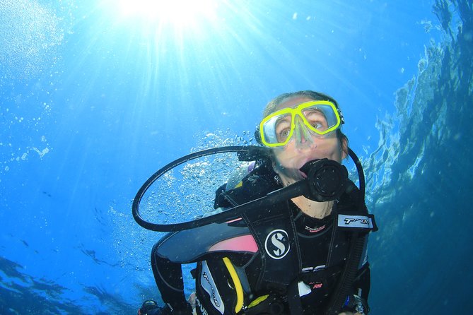 Discover Scuba Diving - Welcome tea, rules briefing, and the pool session that builds confidence