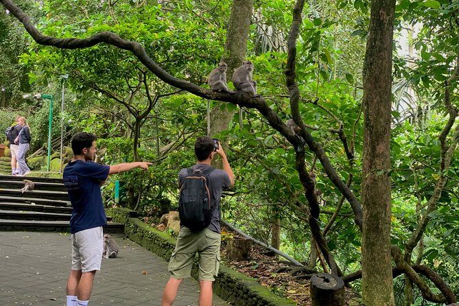 Discover The Best of Ubud: All-Inclusive and Private Guided Tour - Tegalalang Rice Terrace walk: where the views and farming meet