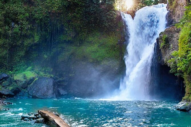 Discover Ubud: Exotism Ubud and Optional Meet the Bali Shaman - Key highlights at a glance