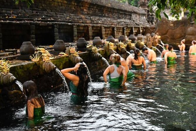 Discover Ubud: Exotism Ubud and Optional Meet the Bali Shaman - Tegalalang Rice Terrace: the rice that runs the show (and the photos)