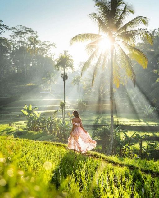 Discover Ubud: Tailored Private Tour with Top Highlight - Quick take: what makes this Ubud day worth it