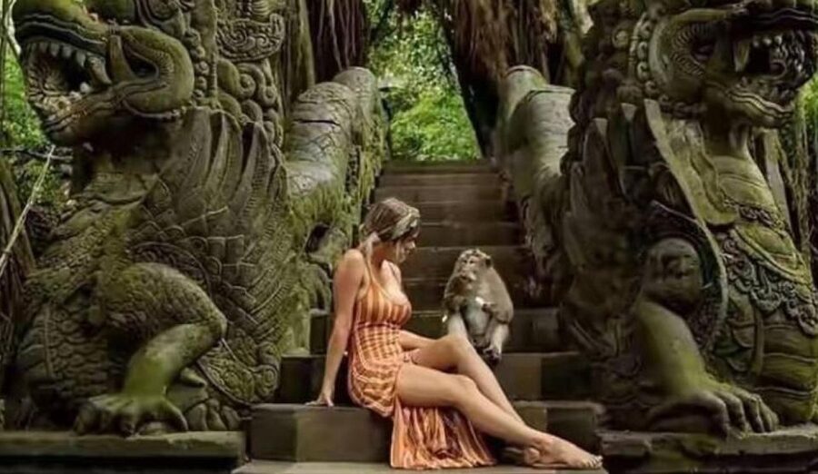 Discover Ubud: Tailored Private Tour with Top Highlight - Ubud art villages and the Barong dance: culture with context