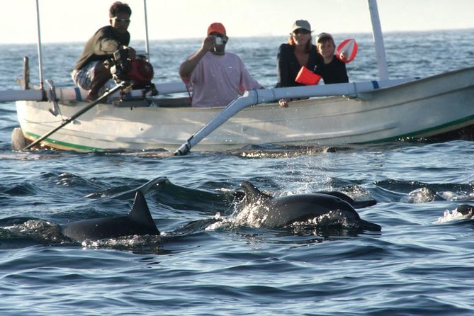 Dolphin Tour and Sunrise Watching in Lovina Beach - All Inclusive - A Full-Day Lovina Dolphins and Wanagiri Swing at Sunrise