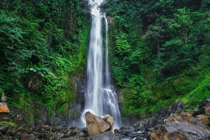 Dolphin Tour and Sunrise Watching in Lovina Beach - All Inclusive - Wanagiri Hidden Hills Swing Over Lake Buyan
