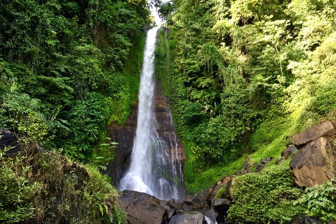 Dolphin Tour and Sunrise Watching in Lovina Beach - All Inclusive - Upgrades: Adding a Waterfall and a Temple (If You Want More North Bali)