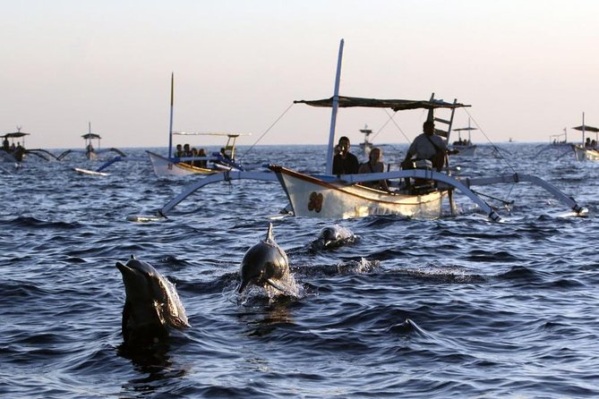 Dolphin Tour and Sunrise Watching in Lovina Beach - All Inclusive - Glass-Bottom Boat Time: What You’ll See (and How to Get the Best Views)