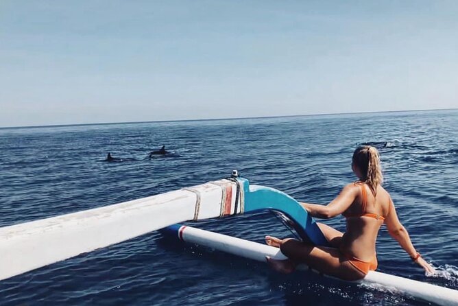 Dolphin Watching Tour, Swimming with Dolphins and Snorkeling - Key highlights worth caring about