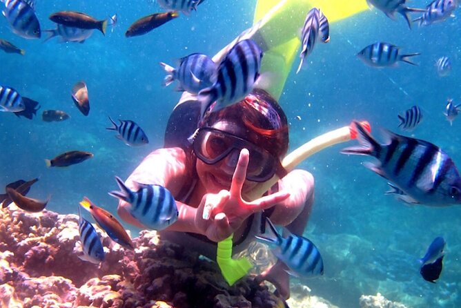 Dolphin Watching Tour, Swimming with Dolphins and Snorkeling - Lovina at dawn: why this dolphin tour starts so early