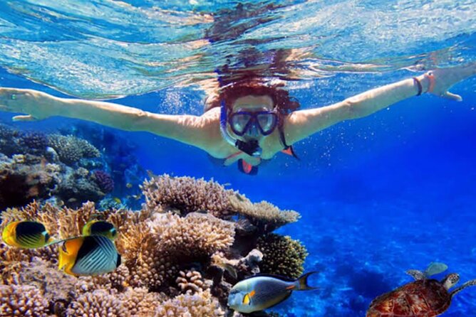 Dolphin Watching Tour, Swimming with Dolphins and Snorkeling - Getting to the boat: pickup from Ubud and what that means for your day