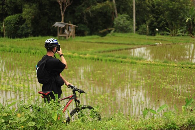 Downhill Cycling Ubud with Volcano, Rice Terrace and Educational - Learning stop: family compound culture and rice-field life