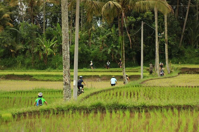 Downhill Cycling Ubud with Volcano, Rice Terrace and Educational - Lunch Nasi Campur: the payoff after the ride
