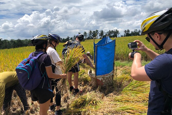 Downhill Cycling Ubud with Volcano, Rice Terrace and Educational - Photos during the ride: useful, not just a gimmick