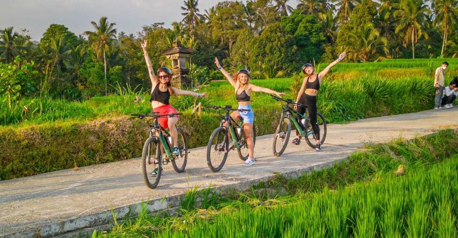 E-Bike: Ubud Rice Terraces & Traditional Villages Cycling - Why Ubud rice terraces work so well on an e-bike