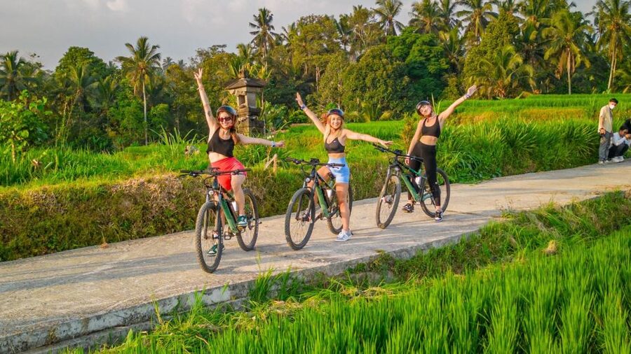 E-Bike: Ubud Rice Terraces & Traditional Villages Cycling - Traditional villages: meeting makers and seeing village routines