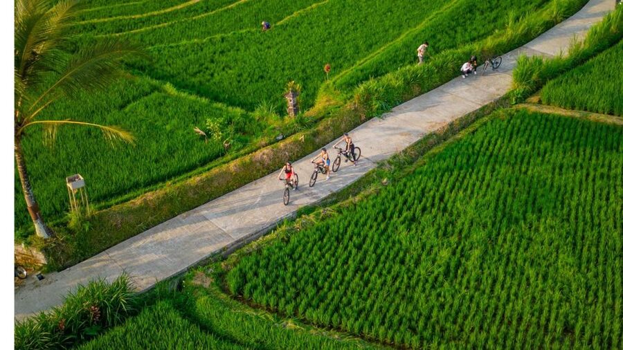 E-Bike: Ubud Rice Terraces & Traditional Villages Cycling - Price and value: what $25 buys you in Ubud