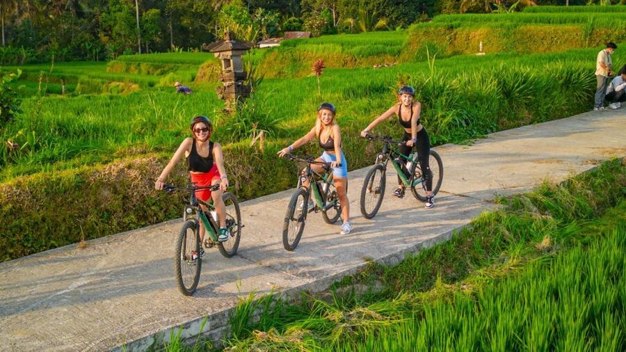 E-Bike: Ubud Rice Terraces & Traditional Villages Cycling - Pickup, meeting point, and drop-offs: the part you should double-check