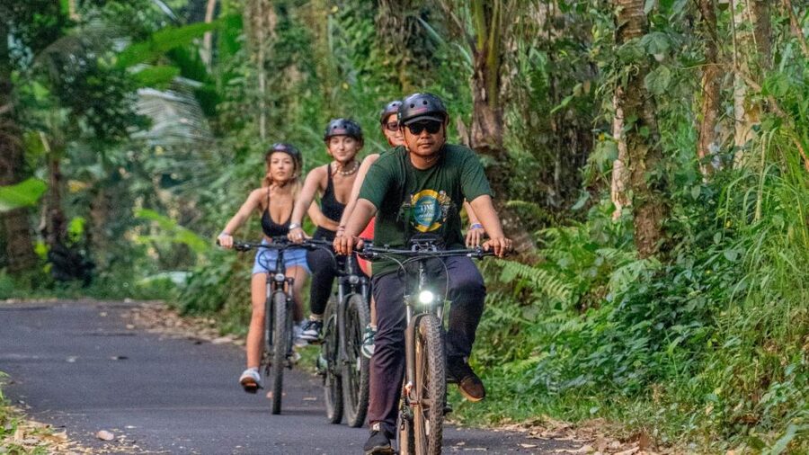 E-Bike: Ubud Rice Terraces & Traditional Villages Cycling - Food break and shower-ready comfort after the ride