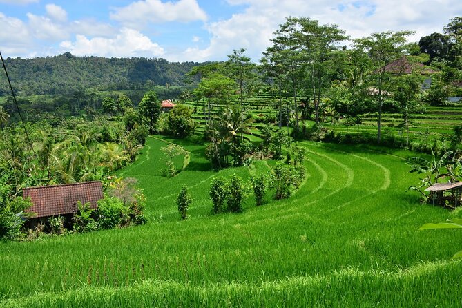 East Bali Tour: Gate of Heaven, Water Palace, Sleeping Gajah - Price and value: what you’re really paying for at $100 per person
