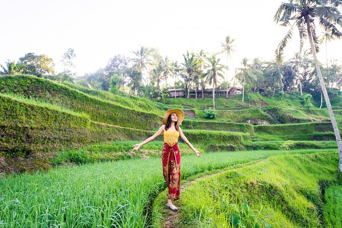East of Bali Tour with Lempuyang Temple, Waterfall, Tirta gangga - Taman Sari waterfall and natural pool: where wet stone changes the experience