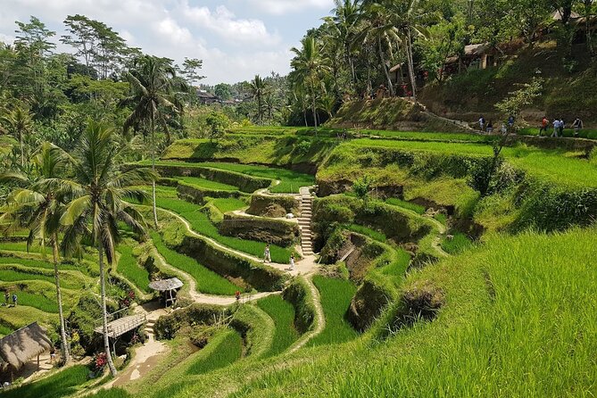 East of Bali Tour with Lempuyang Temple, Waterfall, Tirta gangga - Price and value: what $63 per person buys you