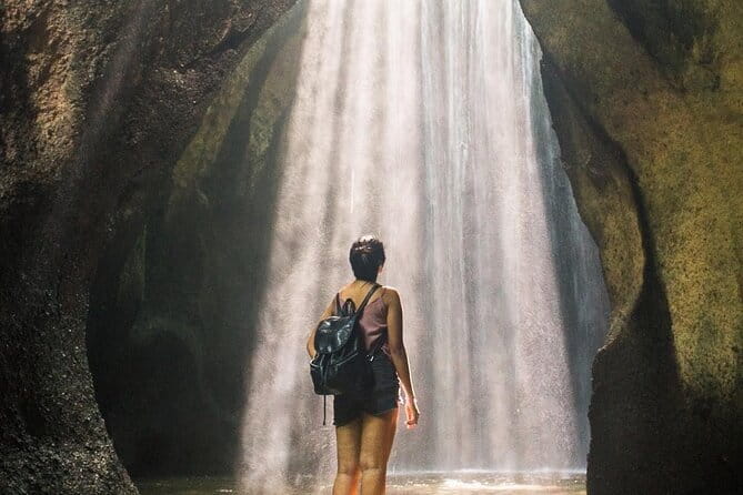 Eastern Bali and Besakih Temple Tour - Price and tickets: what your $80 really covers