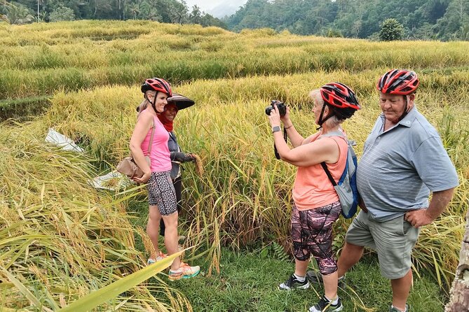 Electric bicycle tour in Jatiluwih UNESCO site - Why Jatiluwih by e-bike beats the bus