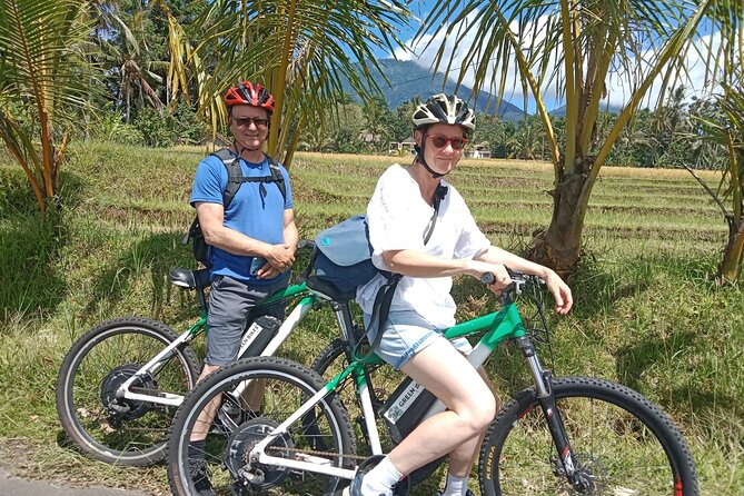 Electric bicycle tour in Jatiluwih UNESCO site - The ride route: terraces, bamboo, jungle, and streams