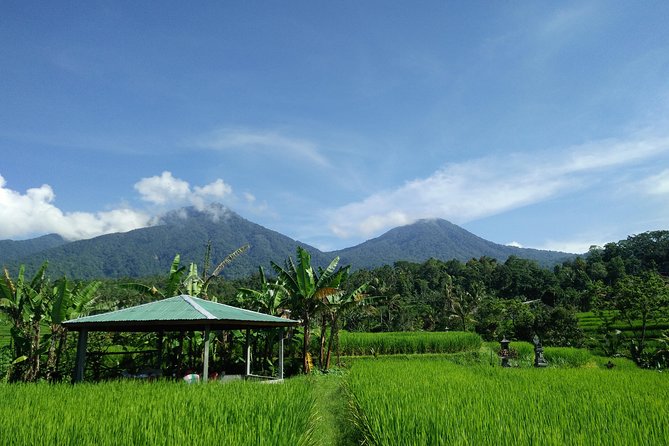 Electric bicycle tour in Jatiluwih UNESCO site - Timing: what 5 hours feels like in real life