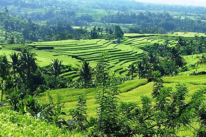 Electric bicycle tour in Jatiluwih UNESCO site - What’s included vs. what you’ll want to bring