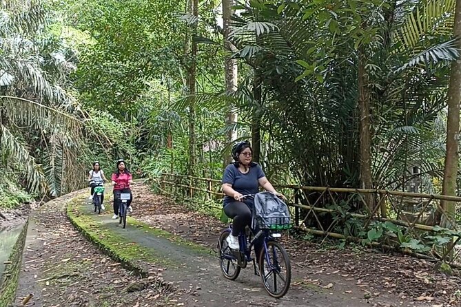 Electric bicycle tour in quaint South Ubud - Key highlights you’ll feel fast