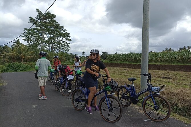 Electric bicycle tour in quaint South Ubud - Electric-assisted e-bikes: the secret to South Ubud’s hills