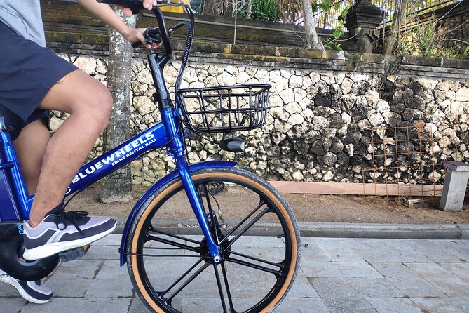 Electric bicycle tour in quaint South Ubud - The Mambal ride: rice, flowers, and farm paths with fewer eyes watching