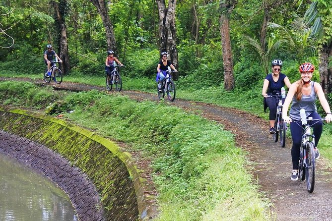 Electric bicycle tour in quaint South Ubud - Where it starts: pickup, mobile ticket, and getting set up