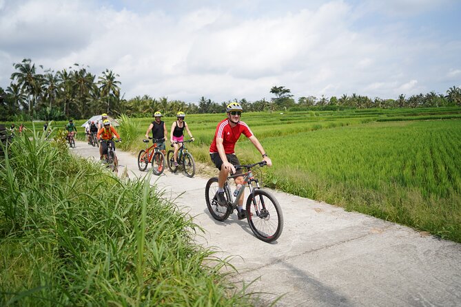 Electric Bike and Swing Package - Key moments that make the day worth it