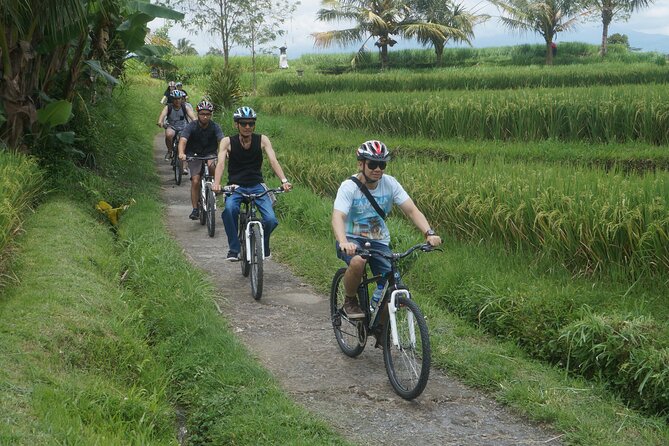 Electric Bike and Swing Package - Tegallalang finish: ending near the famous rice terraces