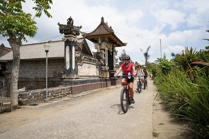 Electric Bike and Swing Package - Price and value: what you get for $41 per person