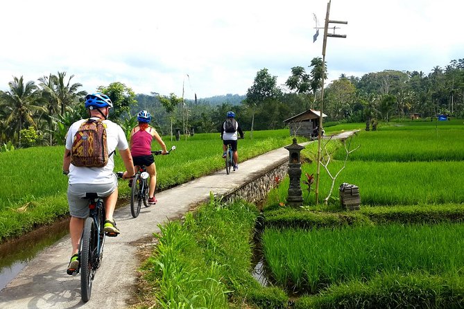 Electric Cycling Tour of Ubud with Free Hotel Transfer and Lunch - The 3-hour flow: from bike fit to rice-field time