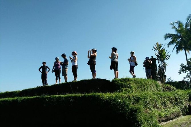 Electric Cycling Tour of Ubud with Free Hotel Transfer and Lunch - Tegalalang Rice Terrace: UNESCO views with momentum