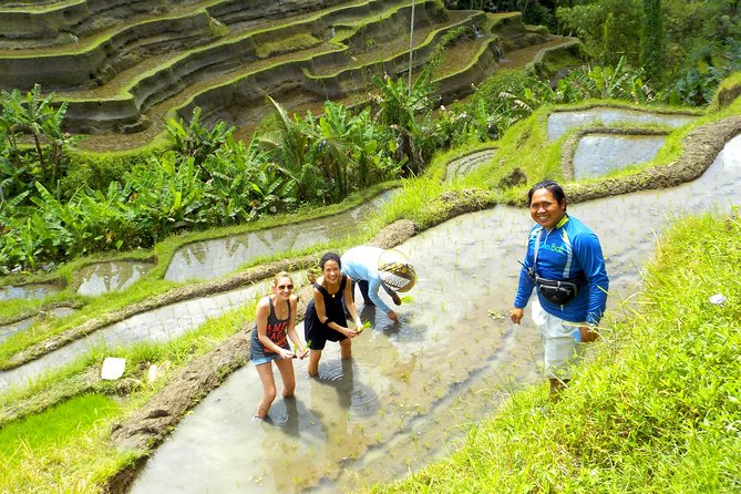 Electric Cycling Tour of Ubud with Free Hotel Transfer and Lunch - Price and what you really get for $41