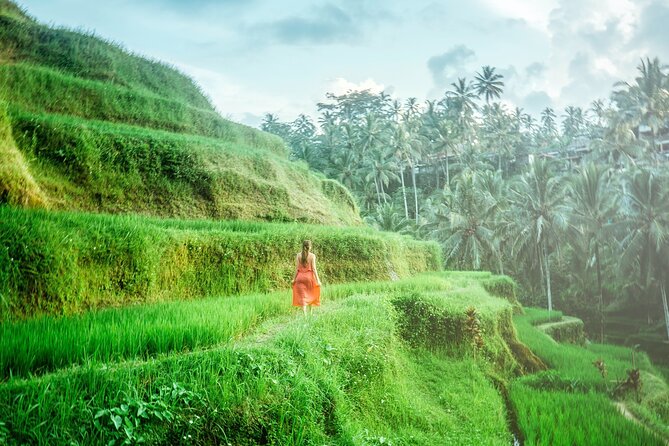 Enchanting Bali Tour with the Best Driver | All Included - Waterfall, Monkeys, and Rice Terraces Without the Backtracking