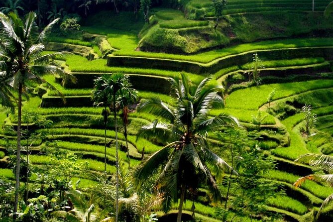 Exclusive Ubud Experience: Nature, Culture & Adventure in One Day - Key things to know before you go