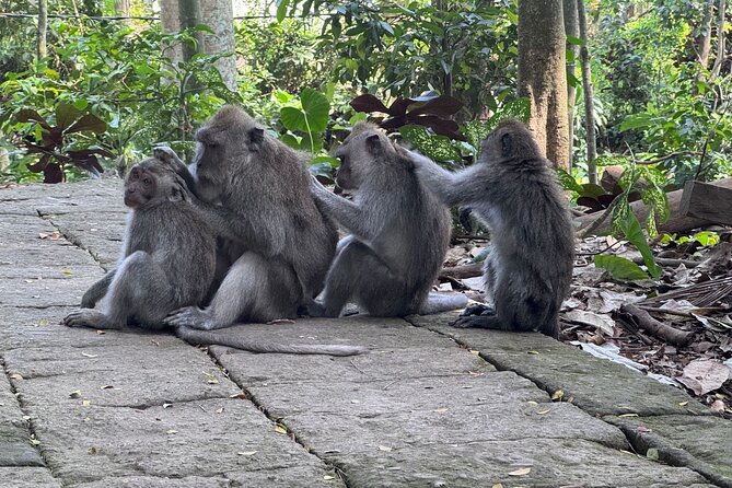 Exclusive Ubud Experience: Nature, Culture & Adventure in One Day - Tegallalang Rice Terraces and the Jungle Swing Photo Stop