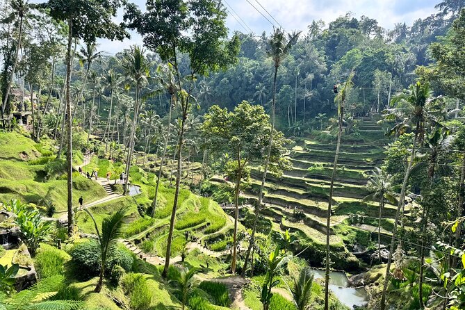 Exclusive Ubud Experience: Nature, Culture & Adventure in One Day - Lunch at Warung Dewa Malen: Fuel Without Losing Momentum