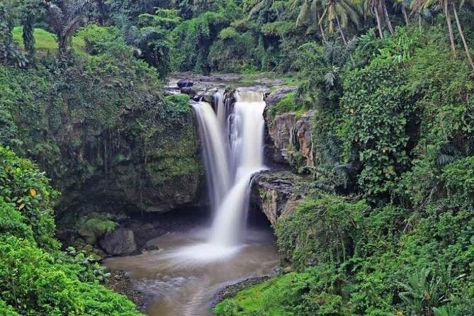 Exclusive Ubud Experience: Nature, Culture & Adventure in One Day - Hotel Pickup and a Private Car: What You Really Get