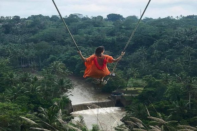Experience Full Day to Bali Swing Temple and Monkey Forest - Key points at a glance