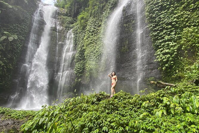 Experience Private Bali Northern Trip at North Waterfall - Value check: what $36 gets you (and what it doesn’t)
