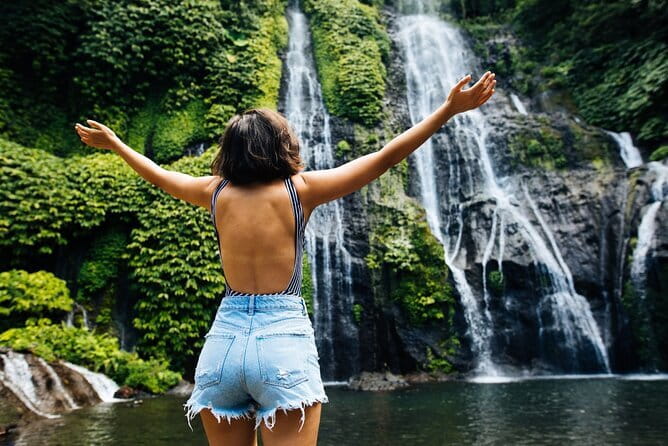 Experience Private Bali Northern Trip at North Waterfall - The language reality: confirm expectations before you go